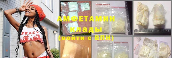 индика Алзамай