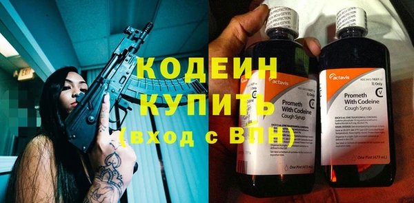 индика Алзамай