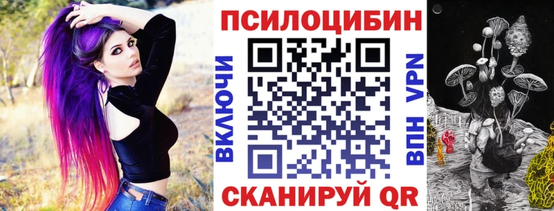 KRAKEN рабочий сайт  магазин    Боготол  нарко площадка какой сайт  Псилоцибиновые грибы прущие грибы 